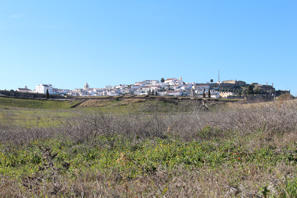 Elvas photo
