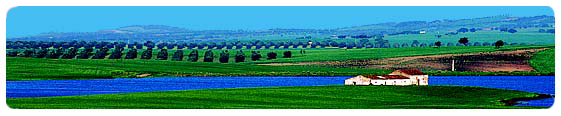 Portugal Incoming Tour Operators and Travel Agents