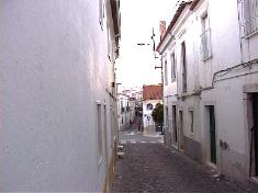 Borba photo pic image