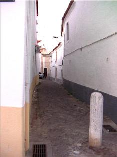 Borba photo pic image