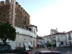 Borba photo pic image