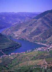 Douro river