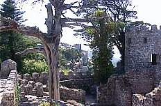 Algarve excursions to Sintra