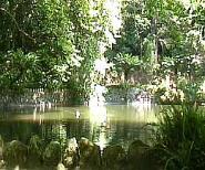 Excursiones privadas e en grupo a Sintra